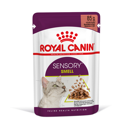 Royal Canin Sensory Smell in Gravy - 12 x 85 g
