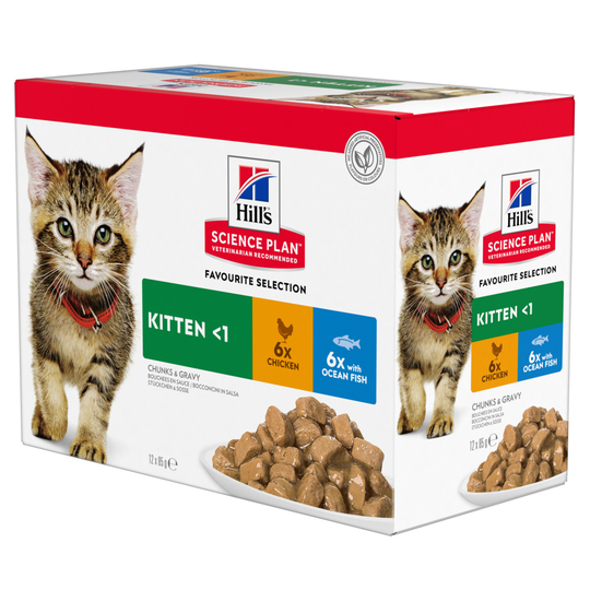 Hill's Science Plan -märkäruoka 9 + 3 kaupan päälle! - 12 x 85 Kitten kalalajitelma