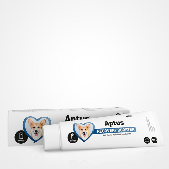 Aptus Recovery Booster Dog 100g - Ravintolisä Koiralle