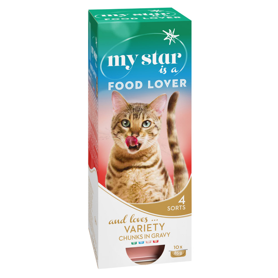 Säästöpakkaus: My Star kastikkeella 60 x 85 g - mix (4 makua)