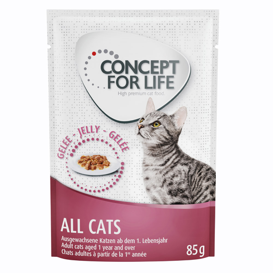 Concept for Life Outdoor Cats - paranneltu koostumus! - oheen: 12 x 85 g Concept for Life All Cats in Jelly