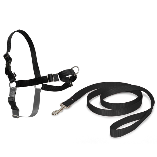 PetSafe® Easy Walk® Harness - M-koko: rinnanympärys 51 - 71 cm
