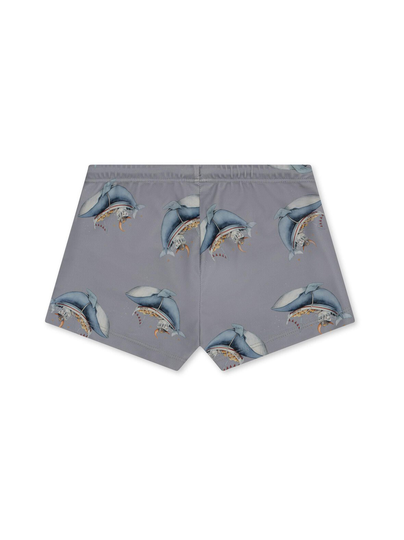 Aster unisex -uimahousut