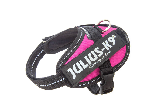 Julius-K9 IDC® Puppy -pentuvaljaat - pinkki (Baby2)