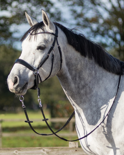 Kuolaimettomat suitset QHP Sunna - Musta (Poni)