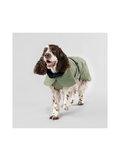 Visibility winter jacket green for dogs