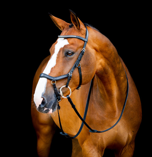 Horseware Micklem 2 Diamante Competition Suitset - Musta (Full (Standard Horse))