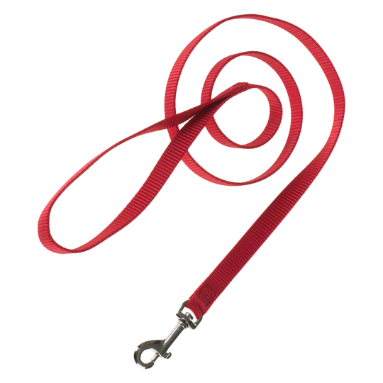 HUNTER Ecco Sport: talutushihna ja kaulapanta, punainen - kaulapannan koko S + talutushihna 110 cm/15 mm