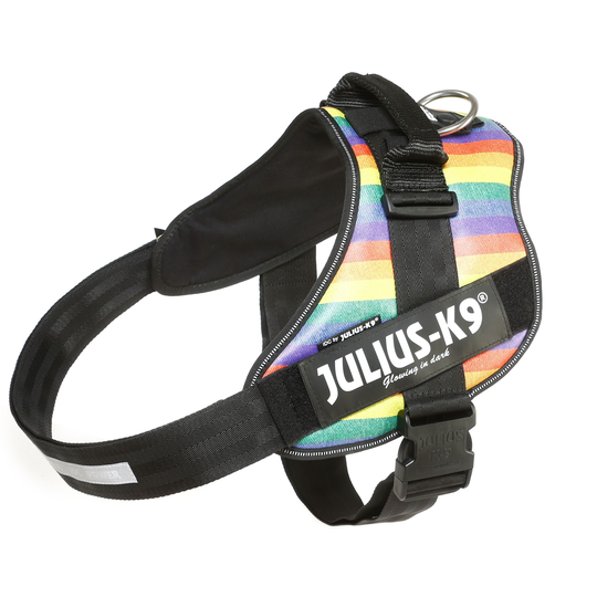 Julius-K9 IDC® -valjaat koiralle - Rainbow (sateenkaari) (3)