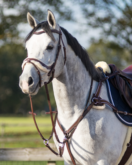 QHP - Suitset Ontario - Ruskea (Poni)