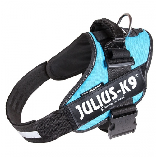 Julius-K9 IDC® -valjaat koiralle - Aquamarine (turkoosi) (Mini-Mini)