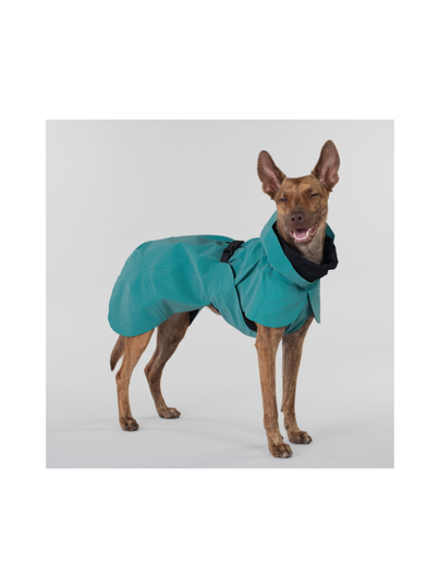 Visibility raincoat emerald for dogs