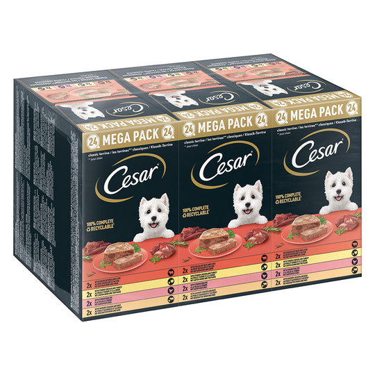 Cesar-koiranruoka 24 x 150 g - Classic Terrine