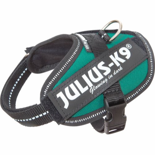 Julius-K9 IDC® Powerharness Puppy Pentuvaljaat - Petrol-green (Baby1)