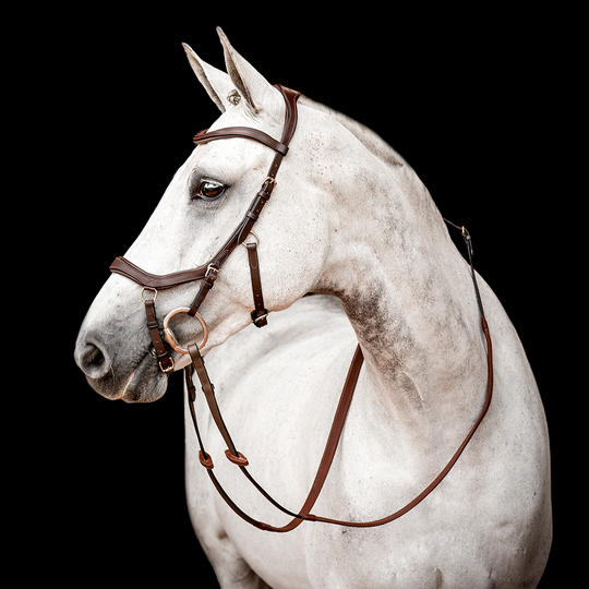 Horseware Micklem 2 Competition Suitset - Dark Havana (Ruskea) (X-Full (Large Horse))