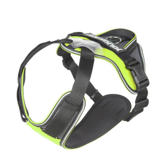 Julius-K9 IDC® Longwalk - neon/harmaa (XL-Long)