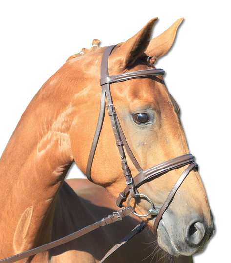 Waldhausen Star Lifestyle Suitset - Ruskea (Pony)