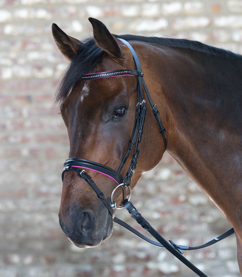Waldhausen - Star Bridle Diamond Suitset - Pinkki - Mini Shettis/ Shettis (Mini shetlanninponi)