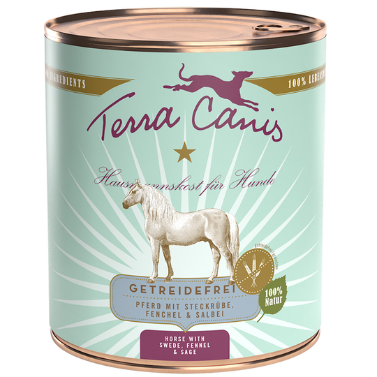 Terra Canis, viljaton 6 x 800 g - hevonen, lanttu, fenkoli & salvia