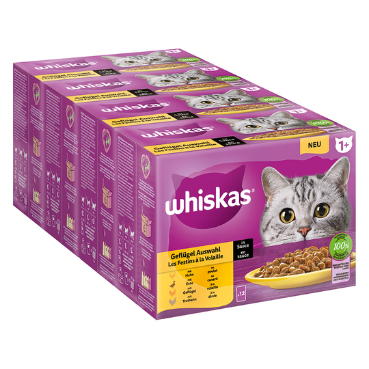Säästöpakkaus: Whiskas 1+ Adult Pouches 144 x 85 g - siipikarjavalikoima kastikkeessa