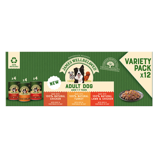James Wellbeloved Adult -lajitelma - 12 x 400 g