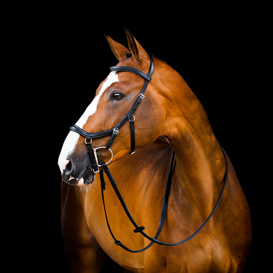 Horseware Micklem 2 Deluxe Kisasuitset - Musta (Large Horse)