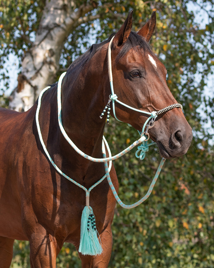 QHP- Liberty Naruriimusetti, jossa ohjat ja kaulanaru - Ice Green (Shetland)