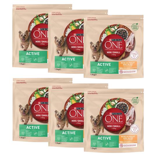 Purina One Mini Active - kana ja riisi - 9 kg (6 x 1,5 kg)