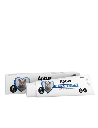Aptus Recovery Booster Cat 60g - Lisäravinne Kissalle