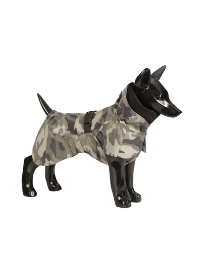 Recovery raincoat camo for dogs