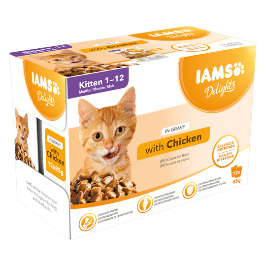 IAMS Delights Kitten in Sauce, kana - 12 x 85 g kana