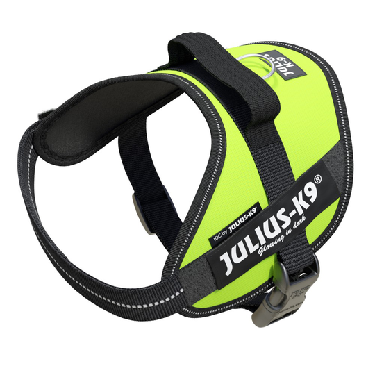 Julius-K9 IDC® -valjaat koiralle - UV Neon Green (neonvihreä) (Mini-Mini)