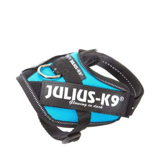 Julius-K9 IDC® Puppy -pentuvaljaat - Aquamarine (turkoosi) (Baby1)