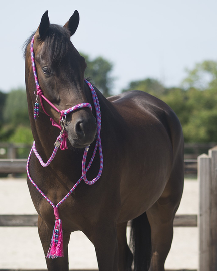 QHP- Liberty Naruriimusetti, jossa ohjat ja kaulanaru - Fuchsia (X-Full)