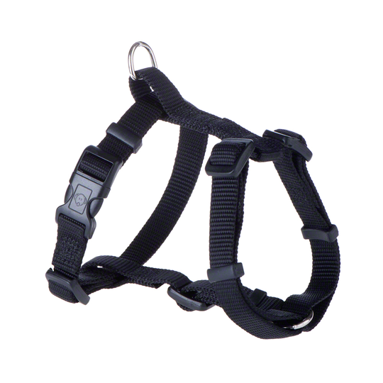 HUNTER-setti: valjaat + Ecco Sport Vario Rapid -talutushihna, musta - valjaat M-L + talutushihna 200 cm