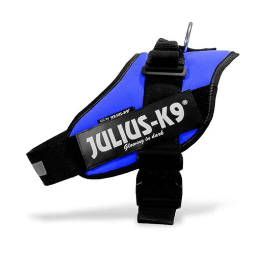 Julius-K9 IDC® -valjaat koiralle - sininen (Mini)