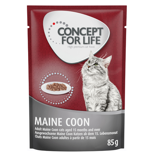 Concept for Life Maine Coon Adult - paranneltu koostumus! - oheen: 12 x 85 g Concept for Life Maine Coon Adult