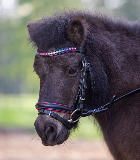 Suitset Waldhausen Star Bridle - Pony/Shettis/Minishettis (Mini shetlanninponi)