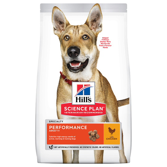 Hill's Science Plan -säästöpakkaus: 2 x suuri pakkaus - 2 x 14 kg Adult Performance Medium Chicken