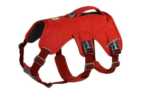 Ruffwear Web Master™ Valjaat - Red Sumac (XS)