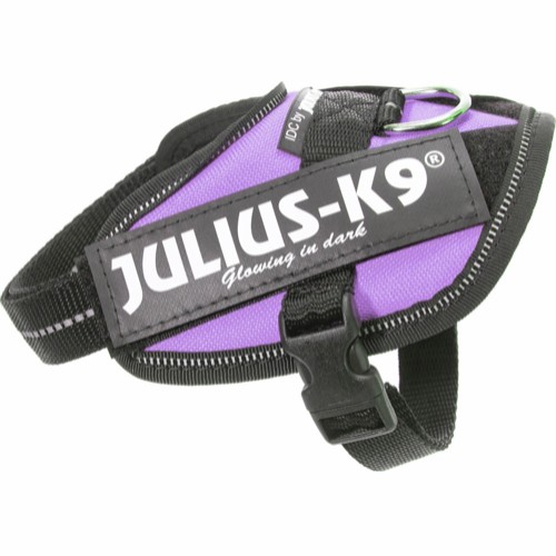 Julius-K9 IDC® Puppy -pentuvaljaat - Purple (Baby1)