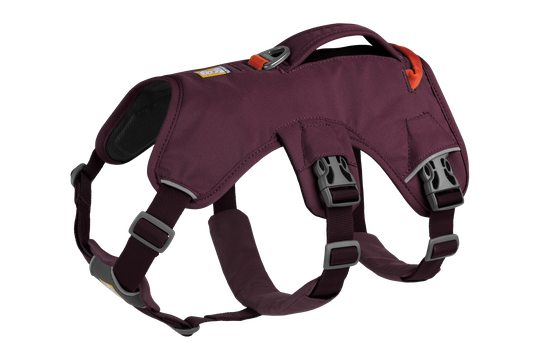 Ruffwear Web Master™ Valjaat - Purple Rain (XXS)