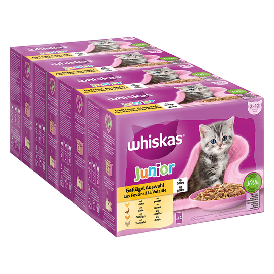 Whiskas Junior Pouches -säästöpakkaus 96 x 85 g - siipikarjavalikoima hyytelössä