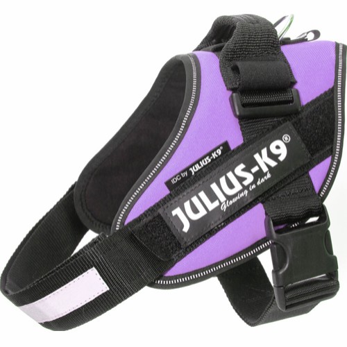 Julius-K9 IDC® -valjaat koiralle - Purple (2)