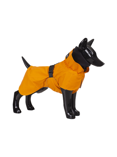 Recovery raincoat orange for dogs